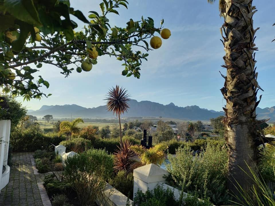 Wild Mushroom Country House Stellenbosch Zewnętrze zdjęcie