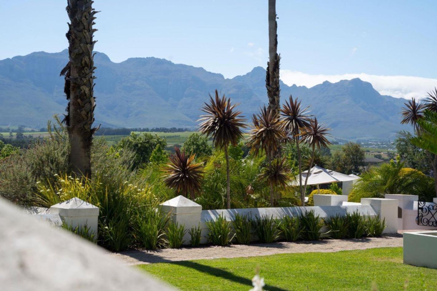 Wild Mushroom Country House Stellenbosch Zewnętrze zdjęcie